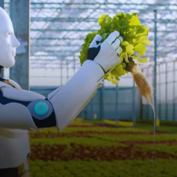 Inteligência Artificial, Casas Inteligentes, Profissão do Futuro, Netqueta.